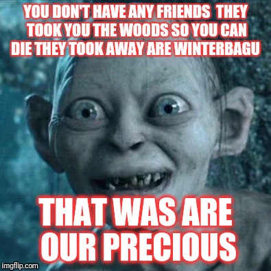 Gollum Meme | YOU DON'T HAVE ANY FRIENDS 
THEY TOOK YOU THE WOODS SO YOU CAN DIE THEY TOOK AWAY ARE WINTERBAGU; THAT WAS ARE OUR PRECIOUS | image tagged in memes,gollum | made w/ Imgflip meme maker