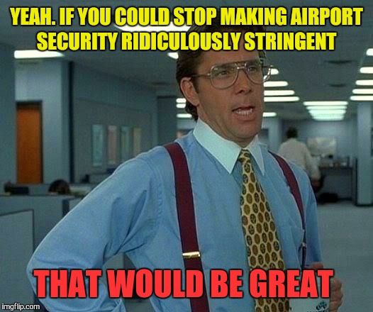 That Would Be Great Meme | YEAH. IF YOU COULD STOP MAKING AIRPORT SECURITY RIDICULOUSLY STRINGENT THAT WOULD BE GREAT | image tagged in memes,that would be great | made w/ Imgflip meme maker