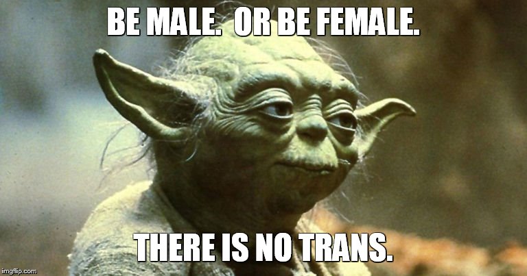 There is no trans. | BE MALE.  OR BE FEMALE. THERE IS NO TRANS. | image tagged in transgender | made w/ Imgflip meme maker