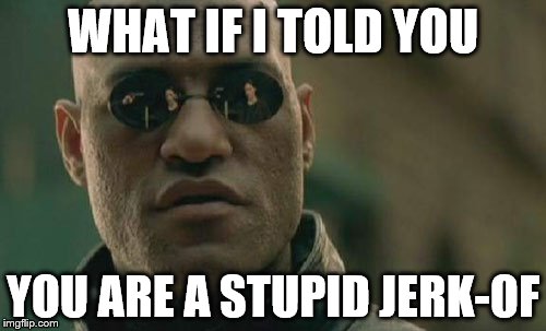 Matrix Morpheus Meme | WHAT IF I TOLD YOU; YOU ARE A STUPID JERK-OF | image tagged in memes,matrix morpheus | made w/ Imgflip meme maker