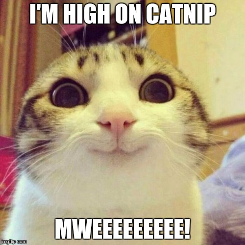 Smiling Cat | I'M HIGH ON CATNIP; MWEEEEEEEEE! | image tagged in memes,smiling cat | made w/ Imgflip meme maker