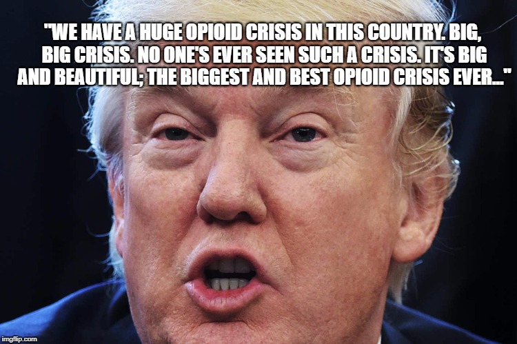 "WE HAVE A HUGE OPIOID CRISIS IN THIS COUNTRY. BIG, BIG CRISIS. NO ONE'S EVER SEEN SUCH A CRISIS. IT'S BIG AND BEAUTIFUL; THE BIGGEST AND BEST OPIOID CRISIS EVER..." | image tagged in donald trump,trump,opioids,drugs | made w/ Imgflip meme maker