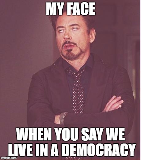Face You Make Robert Downey Jr | MY FACE; WHEN YOU SAY WE LIVE IN A DEMOCRACY | image tagged in memes,face you make robert downey jr | made w/ Imgflip meme maker