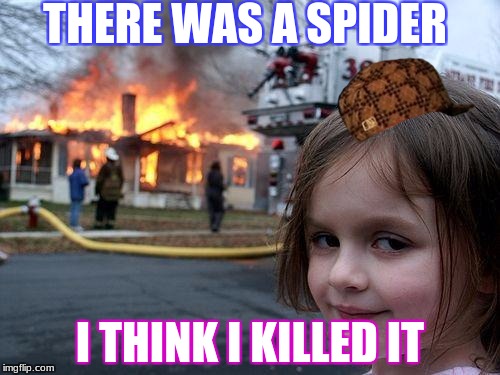 Disaster Girl Meme | THERE WAS A SPIDER; I THINK I KILLED IT | image tagged in memes,disaster girl,scumbag | made w/ Imgflip meme maker