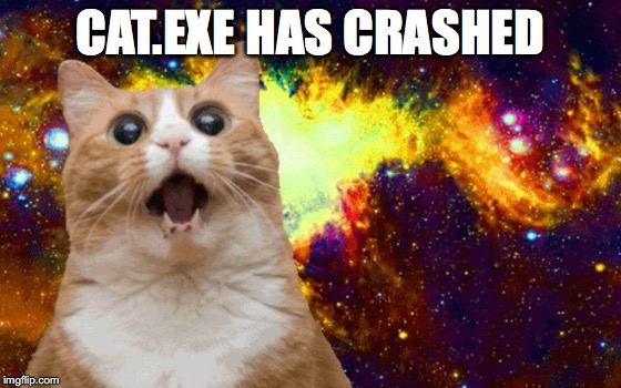 CAT.EXE HAS CRASHED | image tagged in memes,funny,cats,internet | made w/ Imgflip meme maker