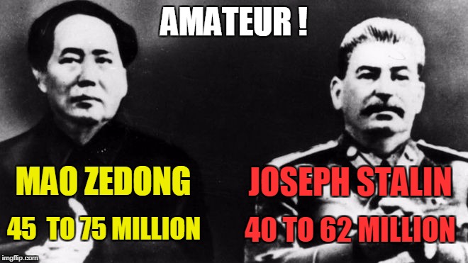 AMATEUR ! MAO ZEDONG 45  TO 75 MILLION JOSEPH STALIN 40 TO 62 MILLION | made w/ Imgflip meme maker