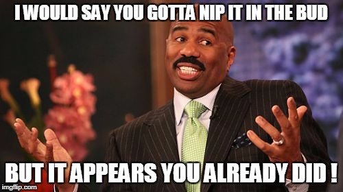 I WOULD SAY YOU GOTTA NIP IT IN THE BUD BUT IT APPEARS YOU ALREADY DID ! | image tagged in memes,steve harvey | made w/ Imgflip meme maker