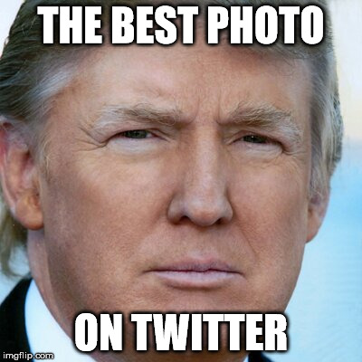 Trump Twitter Pic | THE BEST PHOTO; ON TWITTER | image tagged in trump twitter pic | made w/ Imgflip meme maker