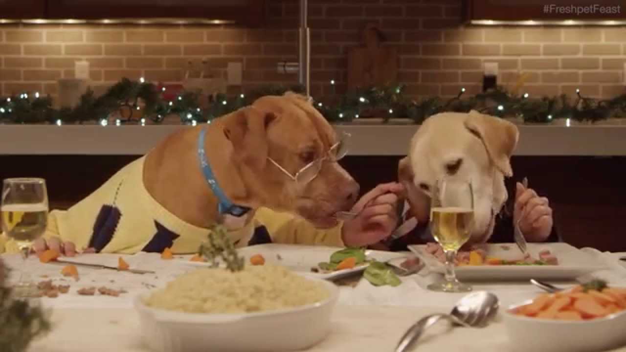 High Quality dog dinner Blank Meme Template