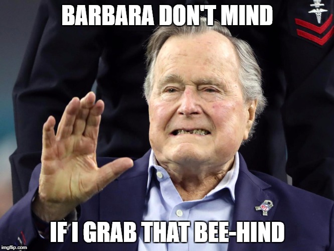 BARBARA DON'T MIND; IF I GRAB THAT BEE-HIND | image tagged in george bush,george bush blame,sexual harassment,sexual assault | made w/ Imgflip meme maker