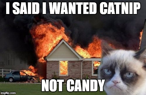 Burn Kitty Meme | I SAID I WANTED CATNIP; NOT CANDY | image tagged in memes,burn kitty,grumpy cat | made w/ Imgflip meme maker