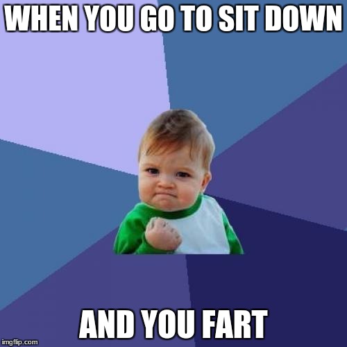 Success Kid Meme | WHEN YOU GO TO SIT DOWN; AND YOU FART | image tagged in memes,success kid | made w/ Imgflip meme maker