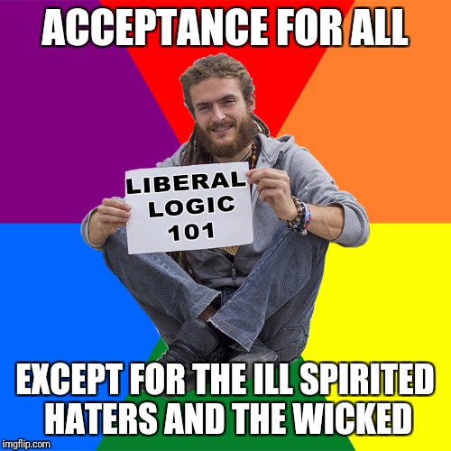 Liberal Logic 101 | ACCEPTANCE FOR ALL; EXCEPT FOR THE ILL SPIRITED HATERS AND THE WICKED | image tagged in liberal logic 101 | made w/ Imgflip meme maker