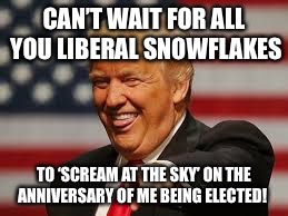 Trump va liberals | CAN’T WAIT FOR ALL YOU LIBERAL SNOWFLAKES; TO ‘SCREAM AT THE SKY’ ON THE ANNIVERSARY OF ME BEING ELECTED! | image tagged in trump va liberals | made w/ Imgflip meme maker