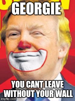 Donald Trump the Clown | GEORGIE; YOU CANT LEAVE WITHOUT YOUR WALL | image tagged in donald trump the clown | made w/ Imgflip meme maker