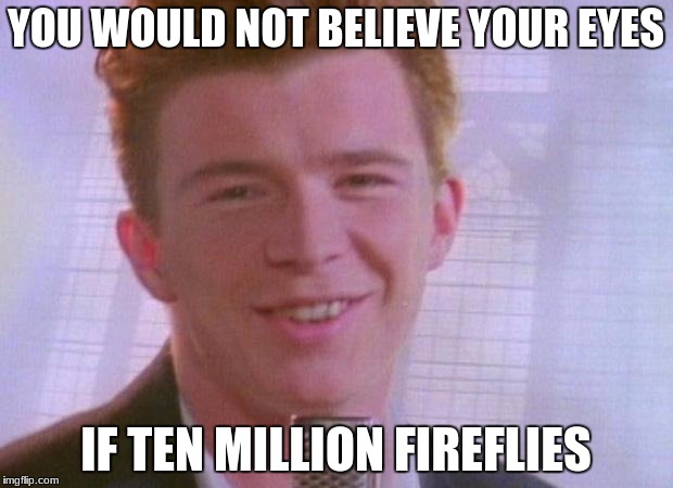 Rick Astley | YOU WOULD NOT BELIEVE YOUR EYES; IF TEN MILLION FIREFLIES | image tagged in rick astley | made w/ Imgflip meme maker