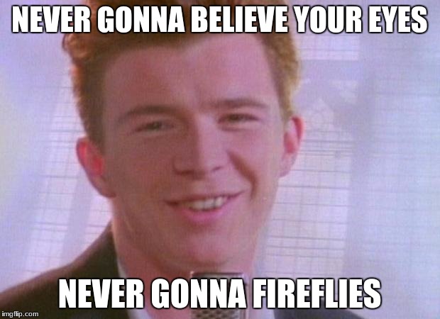 Rick Astley | NEVER GONNA BELIEVE YOUR EYES; NEVER GONNA FIREFLIES | image tagged in rick astley | made w/ Imgflip meme maker