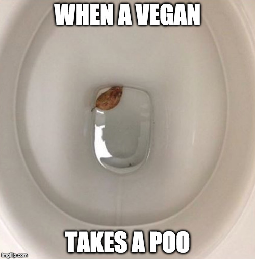 I usually avoid potty humor. | WHEN A VEGAN; TAKES A POO | image tagged in vegan,poop,iwanttobebacon,bacon,vegetarian | made w/ Imgflip meme maker
