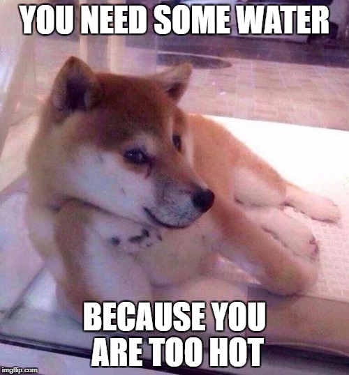 Flirting Doge | YOU NEED SOME WATER; BECAUSE YOU ARE TOO HOT | image tagged in flirting doge | made w/ Imgflip meme maker