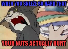that weird painful feeling... | WHEN YOU SNEEZE SO HARD THAT; YOUR NUTS ACTUALLY HURT | image tagged in tom and jerry,nuts,pain,crotch,weird | made w/ Imgflip meme maker