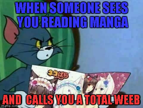 what did you just say to me? | WHEN SOMEONE SEES YOU READING MANGA; AND  CALLS YOU A TOTAL WEEB | image tagged in tom and jerry,weeb,manga,anime,asshole,stare | made w/ Imgflip meme maker