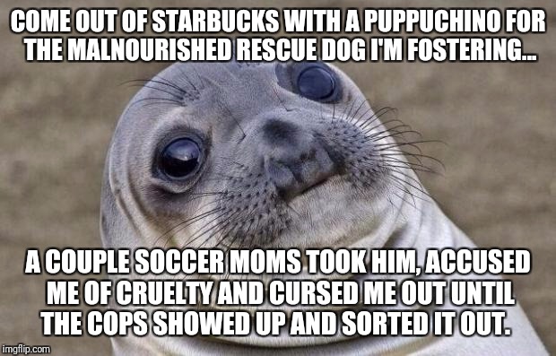 Awkward Moment Sealion Meme | COME OUT OF STARBUCKS WITH A PUPPUCHINO FOR THE MALNOURISHED RESCUE DOG I'M FOSTERING... A COUPLE SOCCER MOMS TOOK HIM, ACCUSED ME OF CRUELTY AND CURSED ME OUT UNTIL THE COPS SHOWED UP AND SORTED IT OUT. | image tagged in memes,awkward moment sealion | made w/ Imgflip meme maker