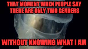 THAT MOMENT WHEN PEOPLE SAY THERE ARE ONLY TWO GENDERS; WITHOUT KNOWING WHAT I AM | made w/ Imgflip meme maker