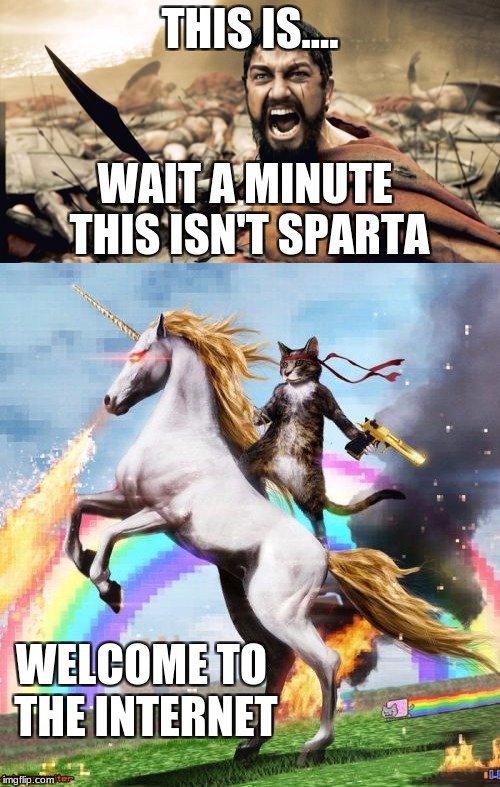 this IS imgflip | THIS IS.... WAIT A MINUTE THIS ISN'T SPARTA; WELCOME TO THE INTERNET | image tagged in memes,funny,gifs,cats,dogs,epic | made w/ Imgflip meme maker