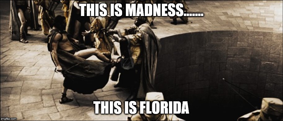 THIS IS FLORIDA  | THIS IS MADNESS....... THIS IS FLORIDA | image tagged in florida | made w/ Imgflip meme maker