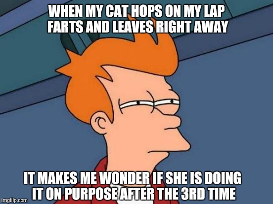 Futurama Fry Meme | WHEN MY CAT HOPS ON MY LAP FARTS AND LEAVES RIGHT AWAY; IT MAKES ME WONDER IF SHE IS DOING IT ON PURPOSE AFTER THE 3RD TIME | image tagged in memes,futurama fry | made w/ Imgflip meme maker
