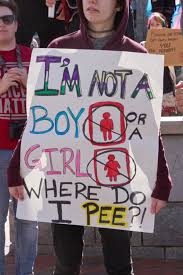 High Quality Transgender restroom protest Blank Meme Template