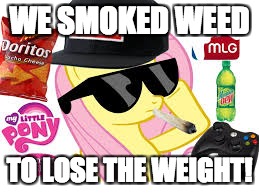 MLG Pony | WE SMOKED WEED TO LOSE THE WEIGHT! | image tagged in mlg pony | made w/ Imgflip meme maker