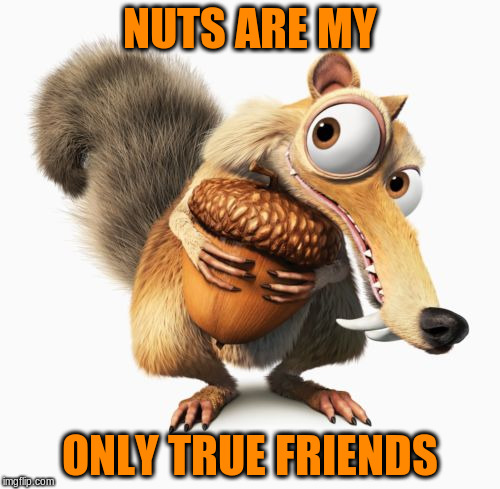 NUTS ARE MY ONLY TRUE FRIENDS | made w/ Imgflip meme maker