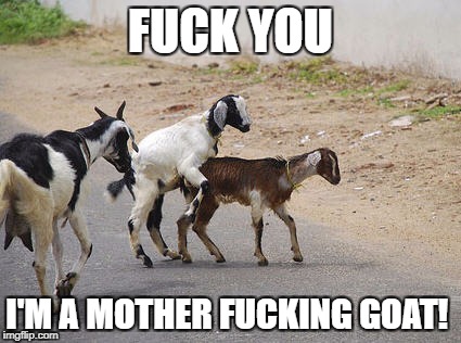 Haven | FUCK YOU; I'M A MOTHER FUCKING GOAT! | image tagged in haven | made w/ Imgflip meme maker