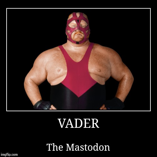 Vader | image tagged in demotivationals,wwe | made w/ Imgflip demotivational maker