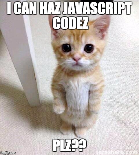 Cute Cat Meme | I CAN HAZ JAVASCRIPT CODEZ; PLZ?? | image tagged in memes,cute cat | made w/ Imgflip meme maker