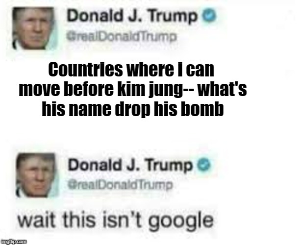 Goodbye Mother Fu--... wait... THIS AIN'T GOOGLE! | Countries where i can move before kim jung-- what's his name drop his bomb | image tagged in memes,donald trump,trump,funny memes,president,president trump | made w/ Imgflip meme maker