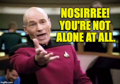 Picard Wtf Meme | NOSIRREE! YOU'RE NOT ALONE AT ALL. | image tagged in memes,picard wtf | made w/ Imgflip meme maker