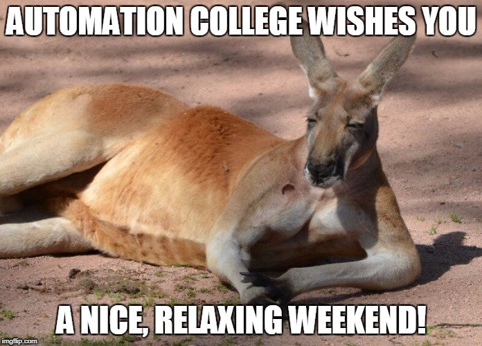 Nice weekend | AUTOMATION COLLEGE WISHES YOU; A NICE, RELAXING WEEKEND! | image tagged in kangaroo,relax weekend | made w/ Imgflip meme maker