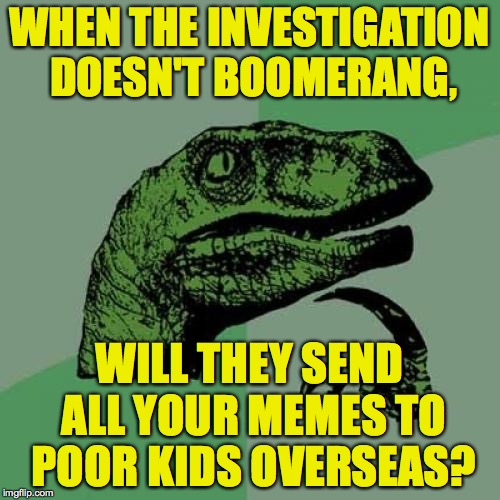 Philosoraptor Meme | WHEN THE INVESTIGATION DOESN'T BOOMERANG, WILL THEY SEND ALL YOUR MEMES TO POOR KIDS OVERSEAS? | image tagged in memes,philosoraptor | made w/ Imgflip meme maker