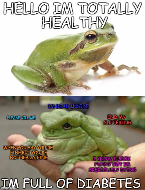 Skinny and fat frog |  HELLO IM TOTALLY HEALTHY; IM DEAD INSIDE; PLEASE KILL ME; END MY SUFFERING; WHEN YOU SAY YOU'RE FINE BUT YOU'RE NOT REALLY FINE; IM FULL OF DIABETES; I KNOW I LOOK FUNNY BUT IM SRERIOUSLY DYING | image tagged in skinny and fat frog | made w/ Imgflip meme maker