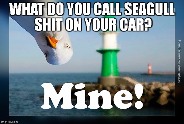 He's Even Got A Name For It | WHAT DO YOU CALL SEAGULL SHIT ON YOUR CAR? | image tagged in beach | made w/ Imgflip meme maker