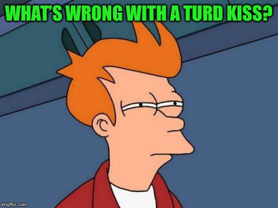 Futurama Fry Meme | WHAT’S WRONG WITH A TURD KISS? | image tagged in memes,futurama fry | made w/ Imgflip meme maker