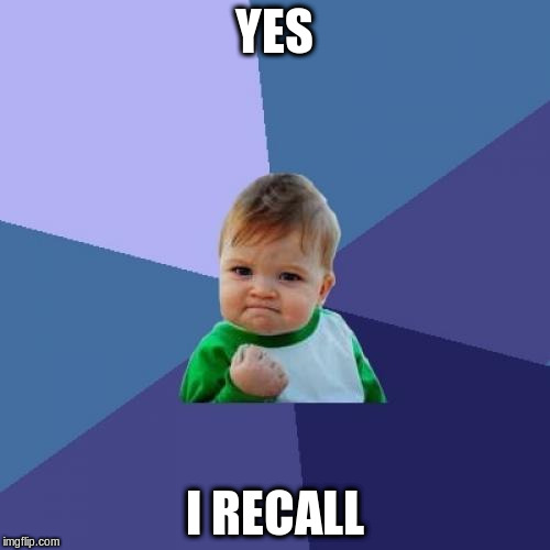 Success Kid Meme | YES I RECALL | image tagged in memes,success kid | made w/ Imgflip meme maker