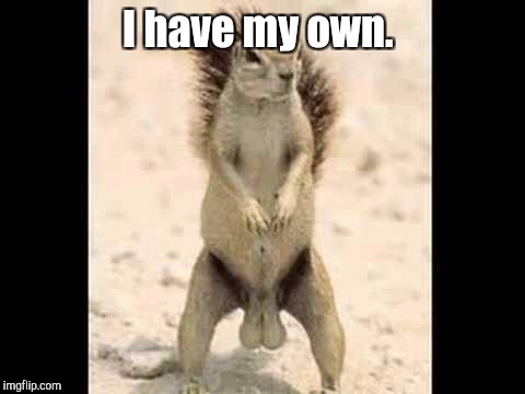 I have my own. | made w/ Imgflip meme maker