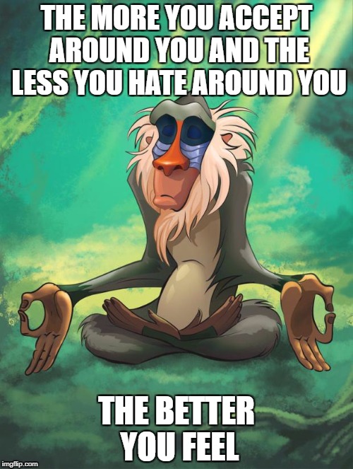 For people that hate everything  | THE MORE YOU ACCEPT AROUND YOU AND THE LESS YOU HATE AROUND YOU; THE BETTER YOU FEEL | image tagged in rafiki wisdom,memes | made w/ Imgflip meme maker