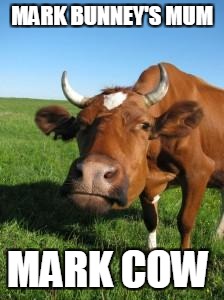 Sad Cow | MARK BUNNEY'S MUM; MARK COW | image tagged in sad cow | made w/ Imgflip meme maker