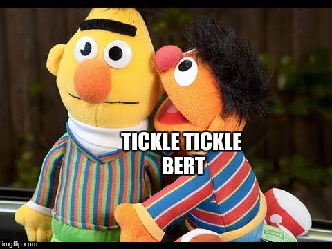 TICKLE TICKLE BERT | made w/ Imgflip meme maker