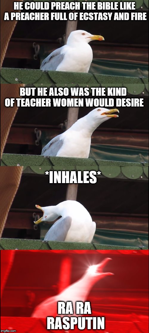 Rasputin Seagull | HE COULD PREACH THE BIBLE LIKE A PREACHER
FULL OF ECSTASY AND FIRE; BUT HE ALSO WAS THE KIND OF TEACHER
WOMEN WOULD DESIRE; *INHALES*; RA RA RASPUTIN | image tagged in inhaling seagull | made w/ Imgflip meme maker