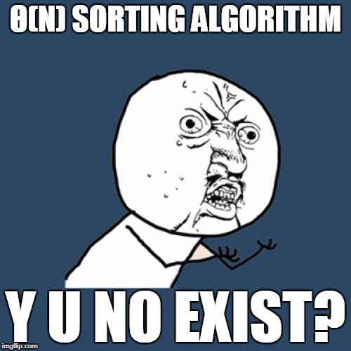 Y U No Meme | Θ(N) SORTING ALGORITHM; Y U NO EXIST? | image tagged in memes,y u no | made w/ Imgflip meme maker